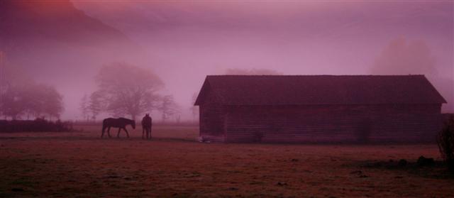 Horse & Barn Arrowtown 