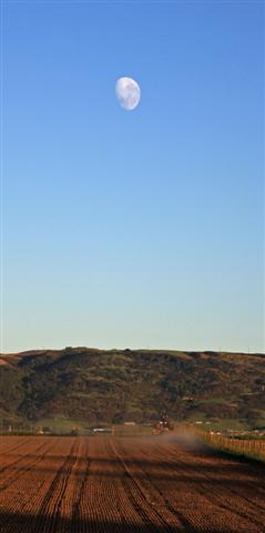 Ploughing By the Moon