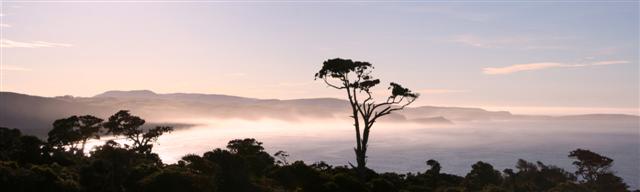 Catlins looking north 2