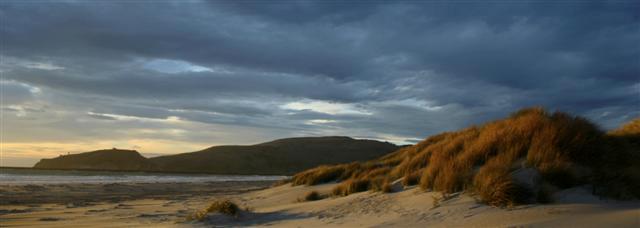 Aramoana beach