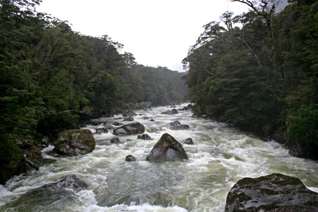 Fiordland River