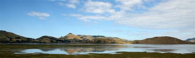 Harbour Cone From Harwood 