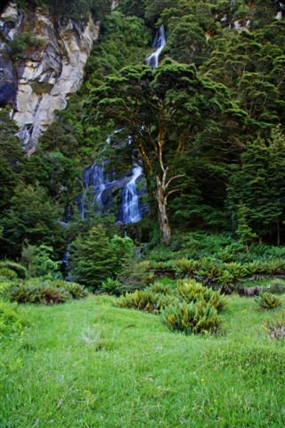 Water Fall Aspiring National Park