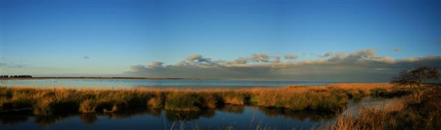 Lake Ellesmere