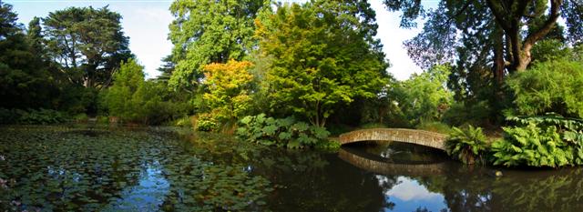  City Gardens 