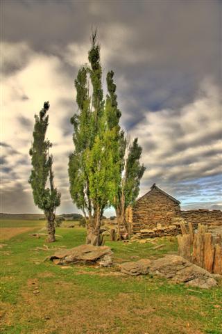 Old Hen House & Yard