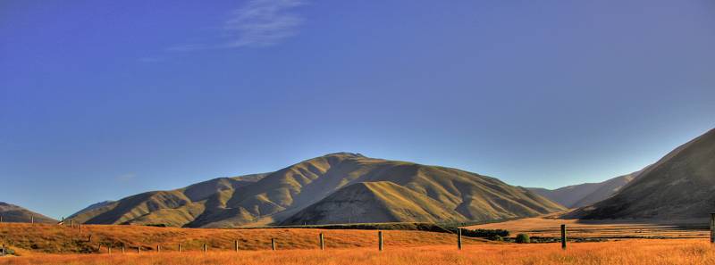 Dry Grass and Fence