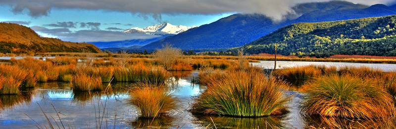 Wetlands Southland