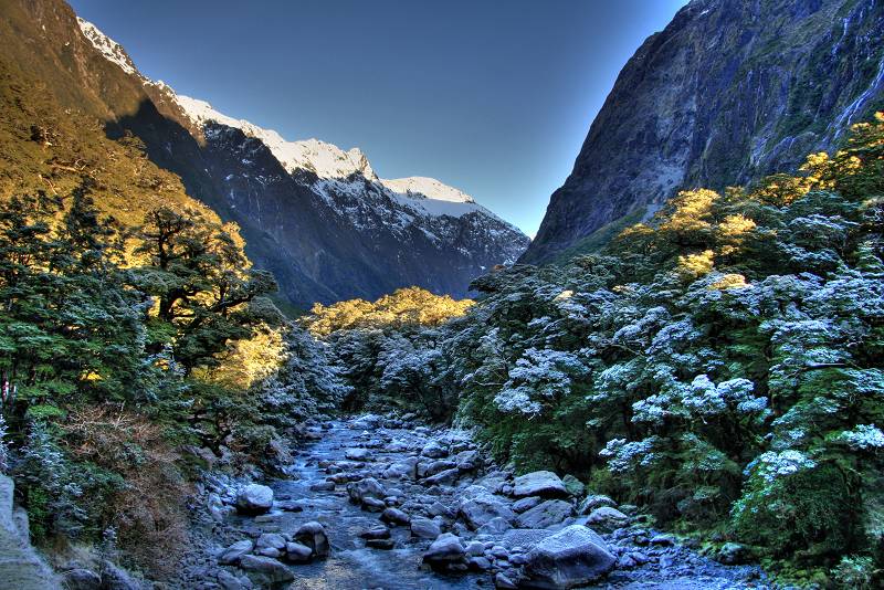 Hollyford River