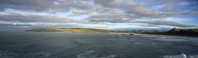 Catlins heads