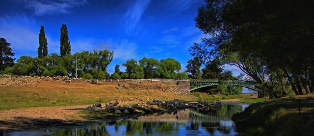 Bridge Sheep