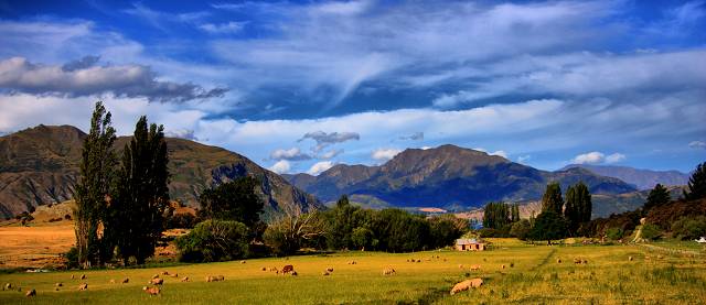 Old House Wanaka