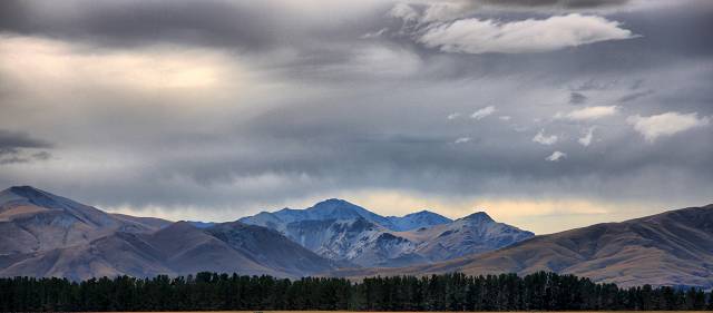 Dansey Pass