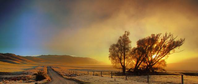 Ida Valley Rd Fog Sun Tree