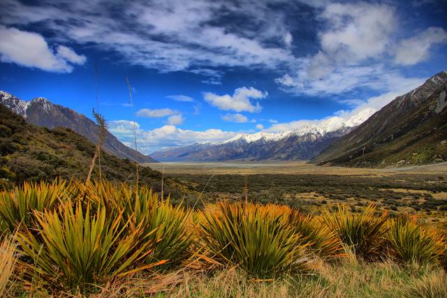 On The Track To The Blue Lake Mt Cook