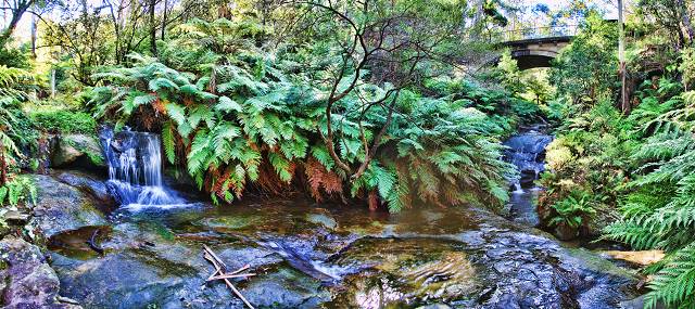 Leura Cascades