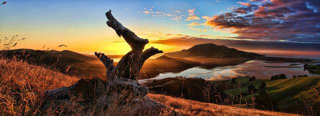 Old Log above Hoopers Inlet