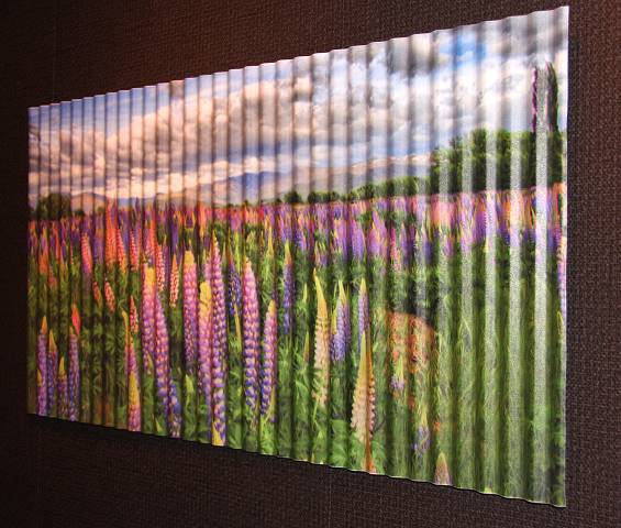 Corrugated IronLupins (side)