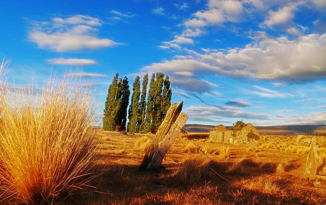 old stone fence line 