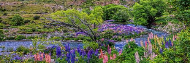 color in the Lindis pass 