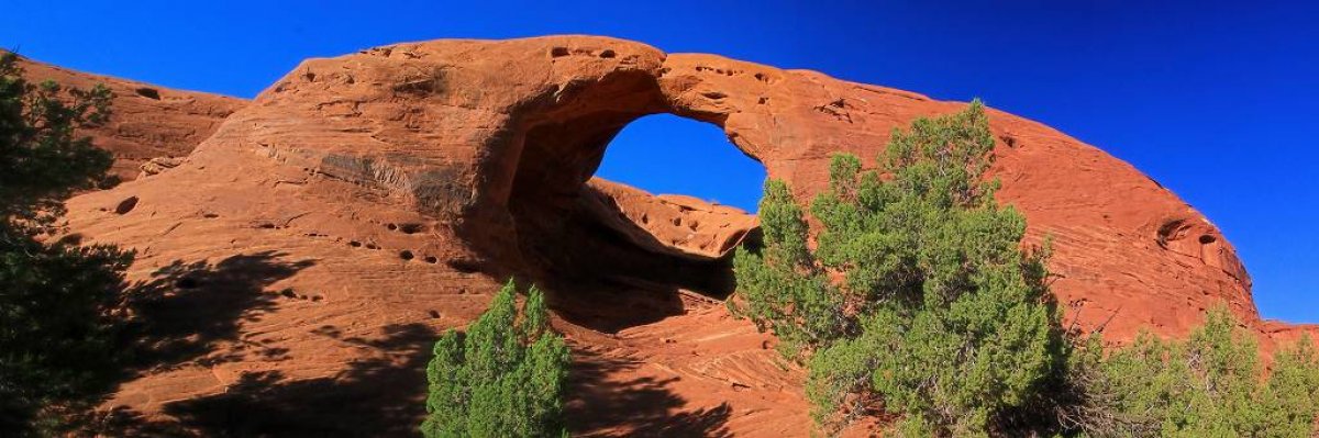 Arches in Monument Valley 