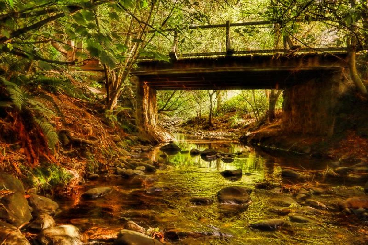 Chingford Park under the bridge