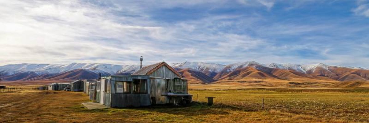 Fishing Huts